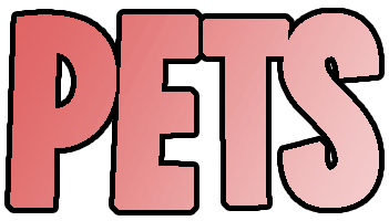 Pets